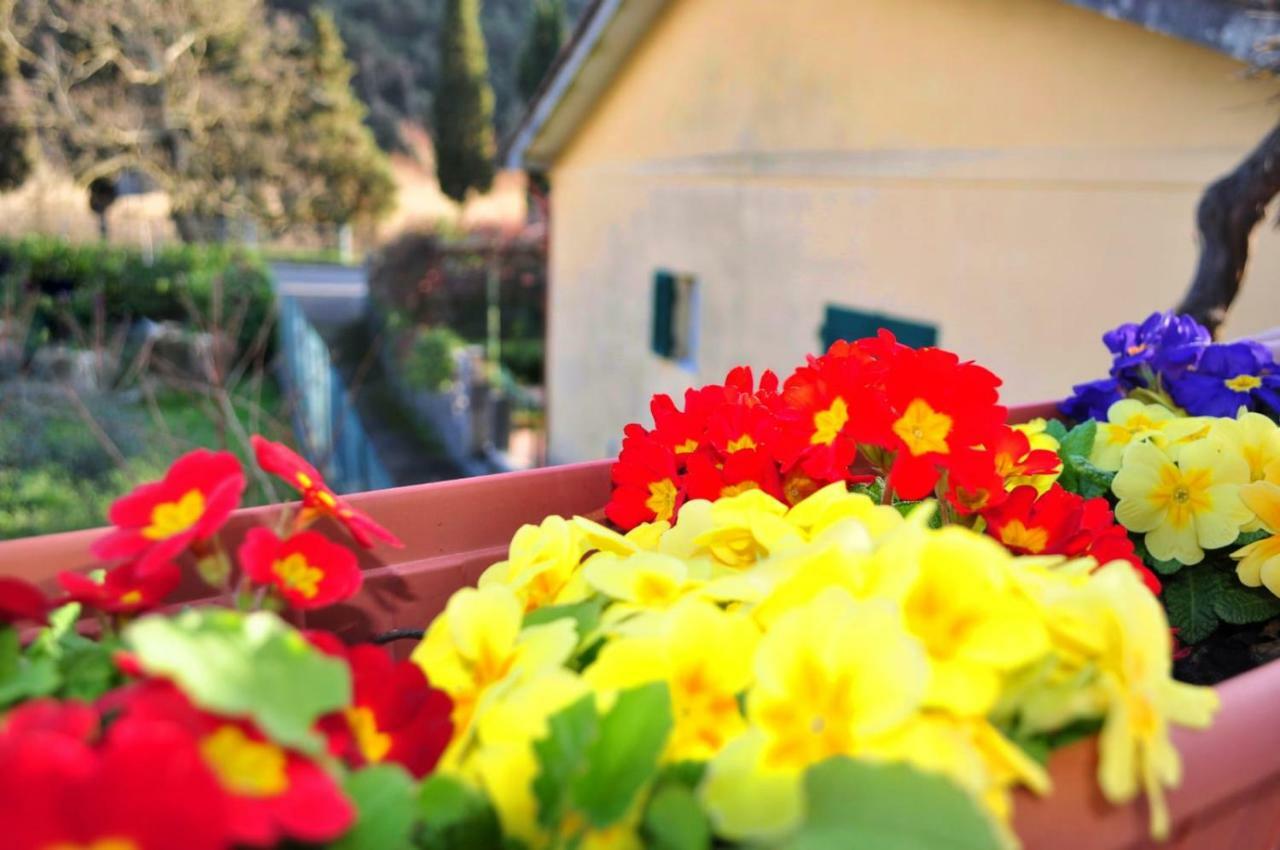 Come A Casa Deiva Marina Zewnętrze zdjęcie